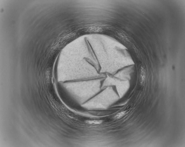 X0000053020551200507291736