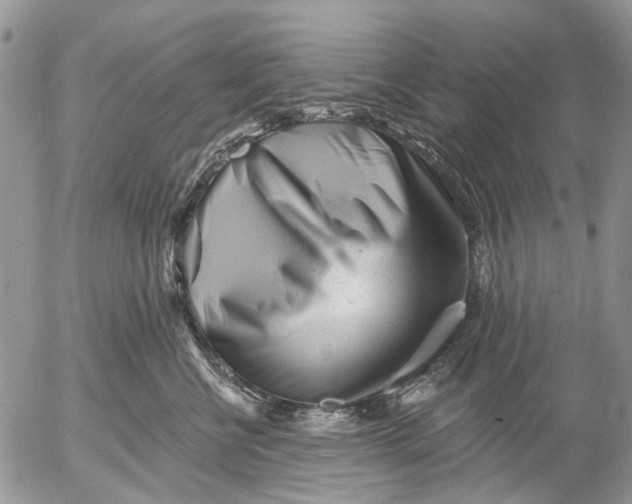 X0000053020570200507291736