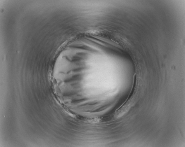 X0000053020576200507291736
