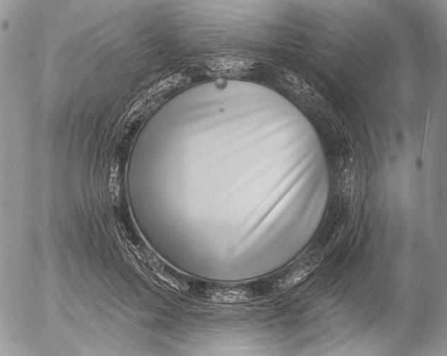 X0000053020599200507291735