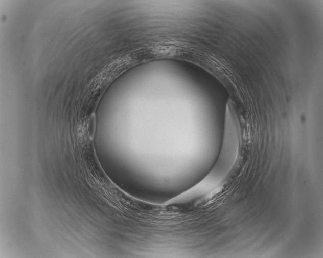 X0000053020601200507291735