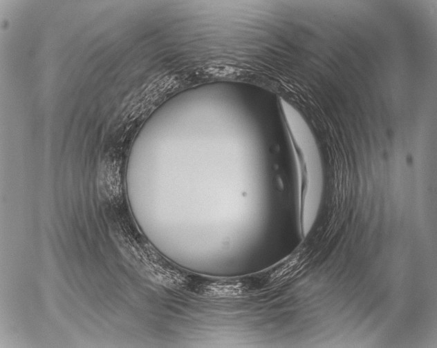 X0000053020606200507291735