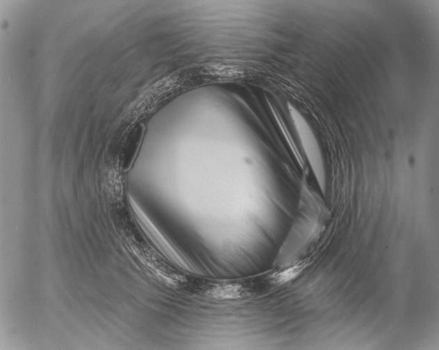X0000053020609200507291735