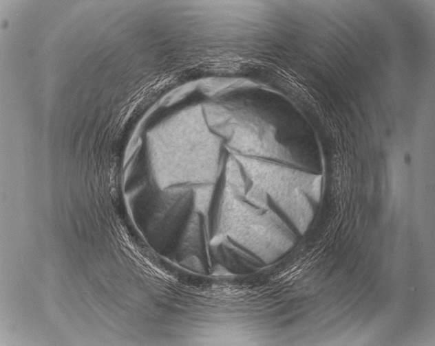 X0000053020641200507291734
