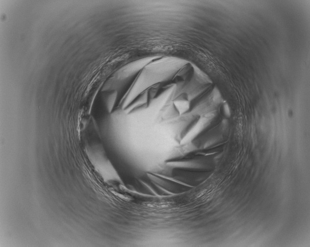 X0000053020643200507291734
