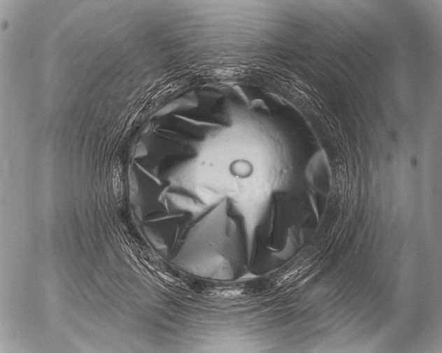 X0000053020651200507291734
