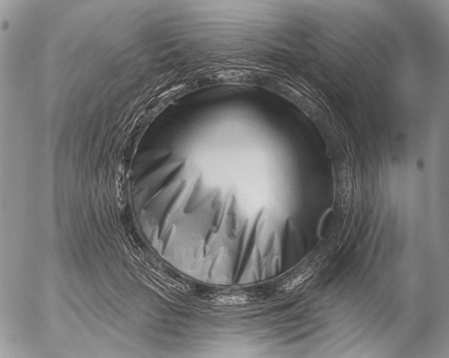 X0000053020653200507291735