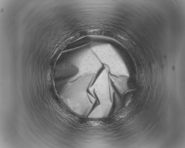 X0000053020654200507291735