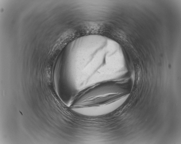 X0000053020661200507291735