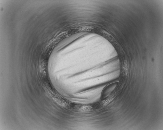 X0000053020663200507291735