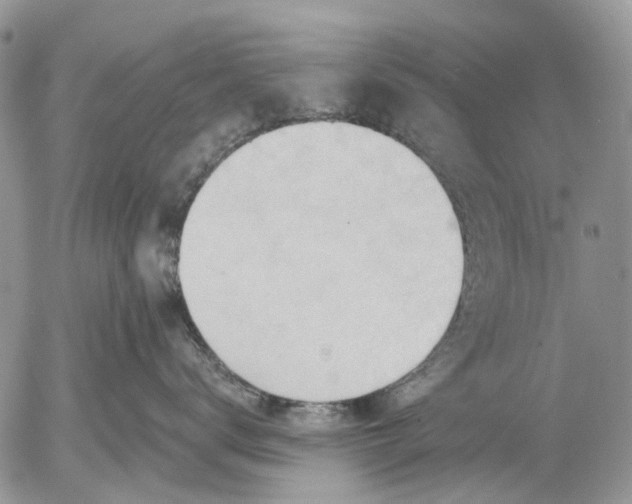 X0000053020672200507291735