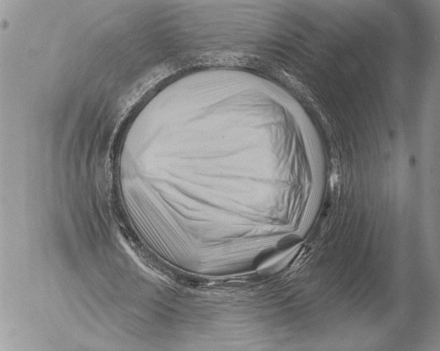 X0000053020674200507291734