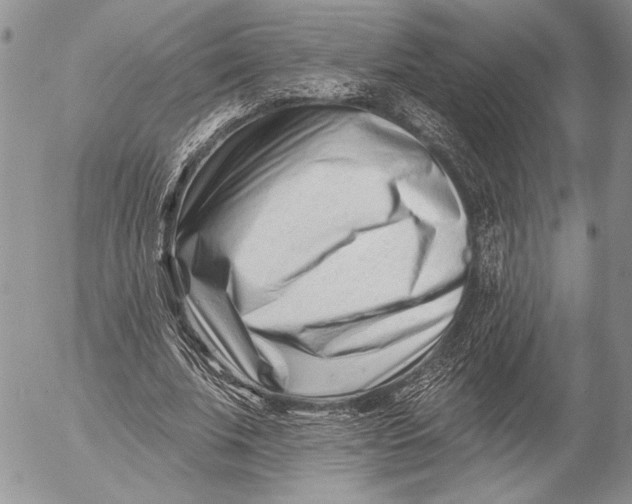 X0000053020679200507291734