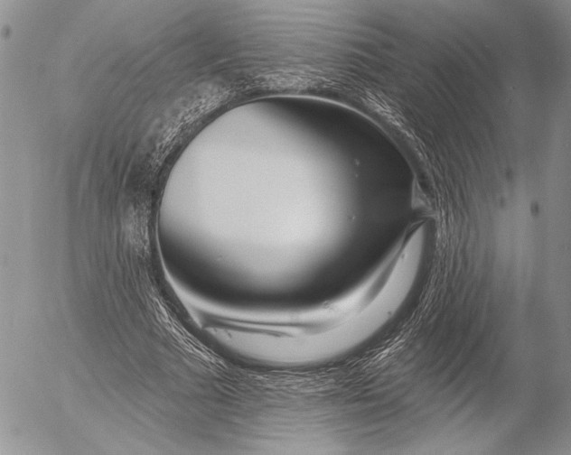 X0000053020681200507291734