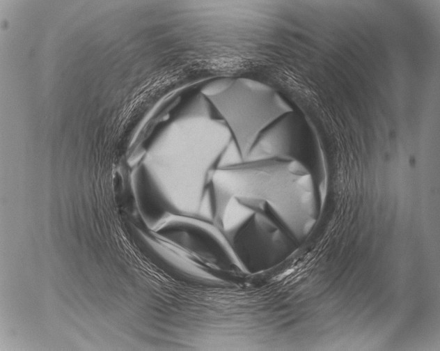 X0000053020689200507291734