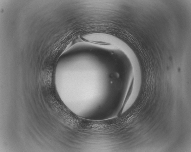 X0000053020697200507291734