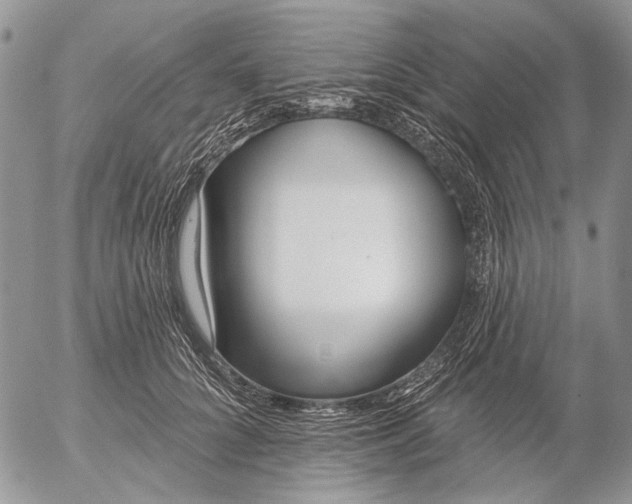 X0000053020704200507291733