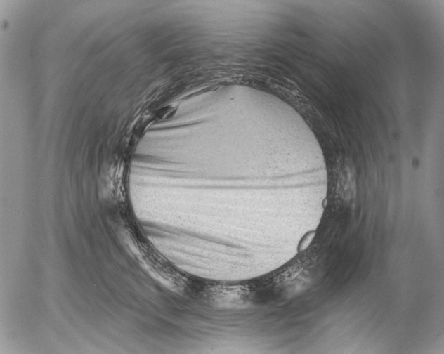 X0000053020711200507291733
