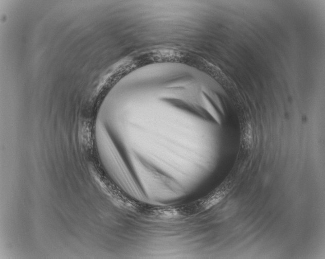 X0000053020715200507291733