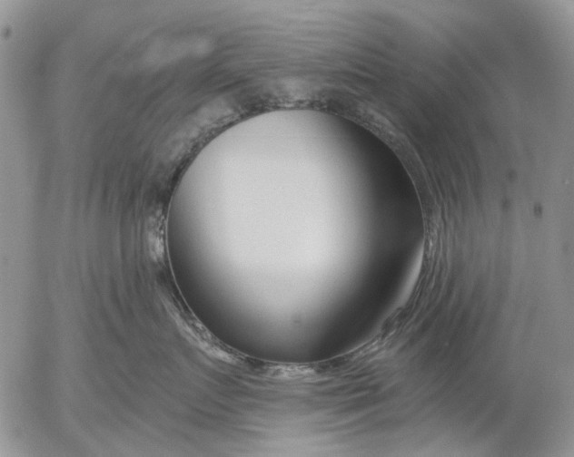X0000053020719200507291733
