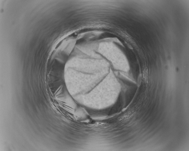 X0000053020724200507291732