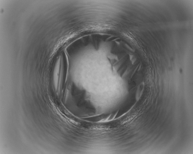 X0000053020736200507291733