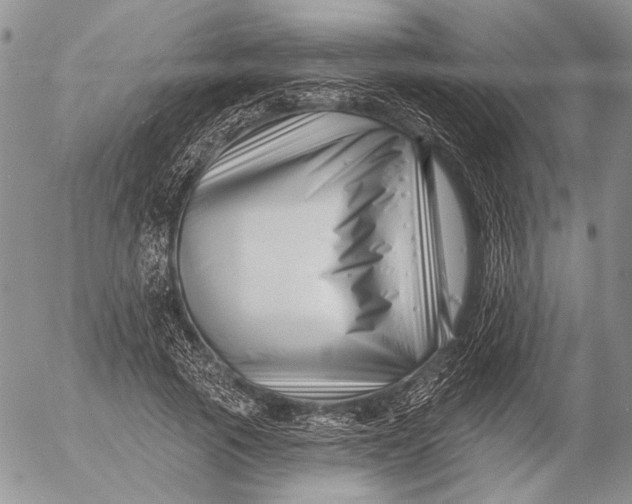 X0000053020737200507291733