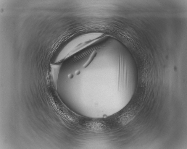 X0000053020743200507291733