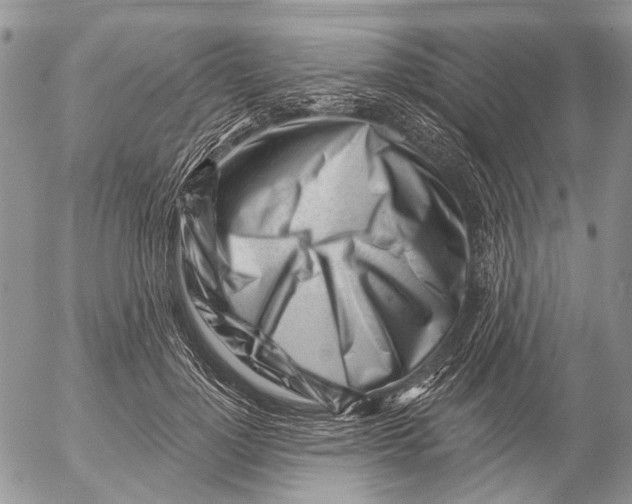 X0000053020748200507291733