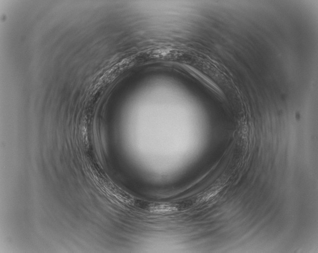 X0000053020754200507291733