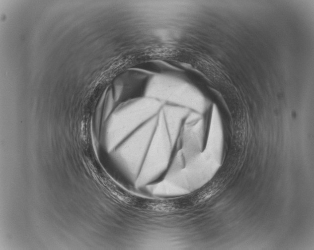 X0000053020755200507291733