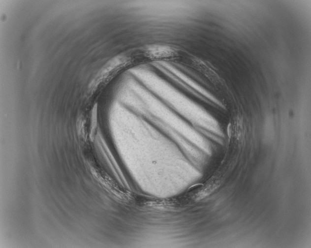 X0000053020763200507291733