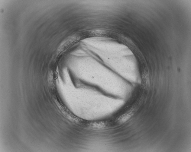 X0000053020765200507291733