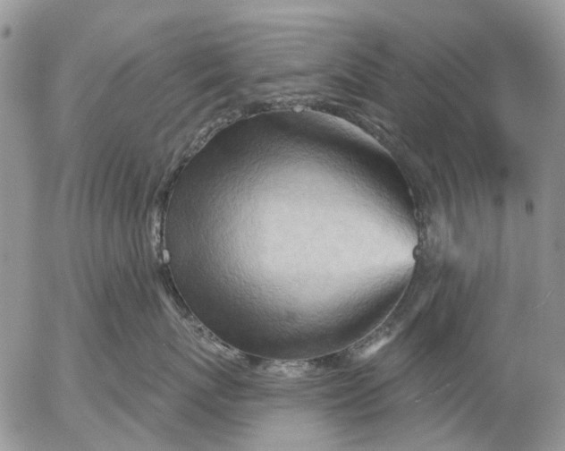 X0000053020767200507291733