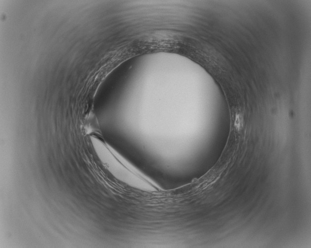 X0000053020771200507291732