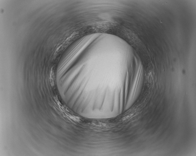 X0000053020772200507291732