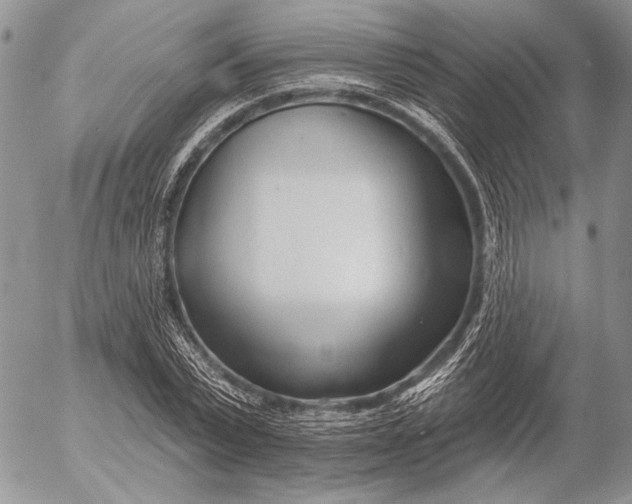 X0000053020783200507291732
