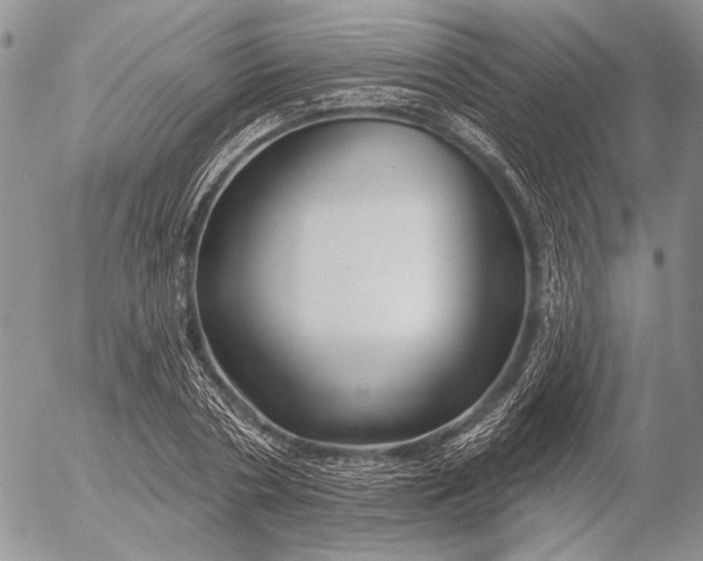 X0000053020786200507291732