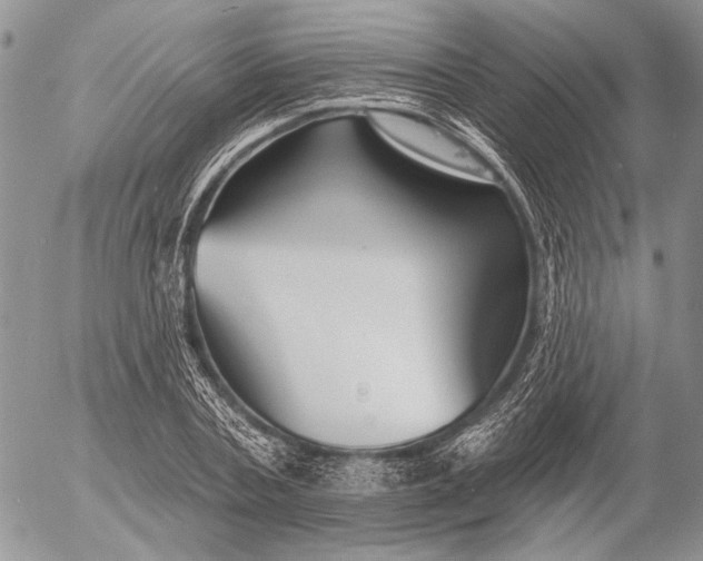 X0000053020787200507291732