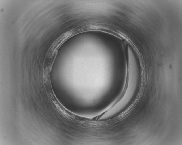 X0000053020801200507291732