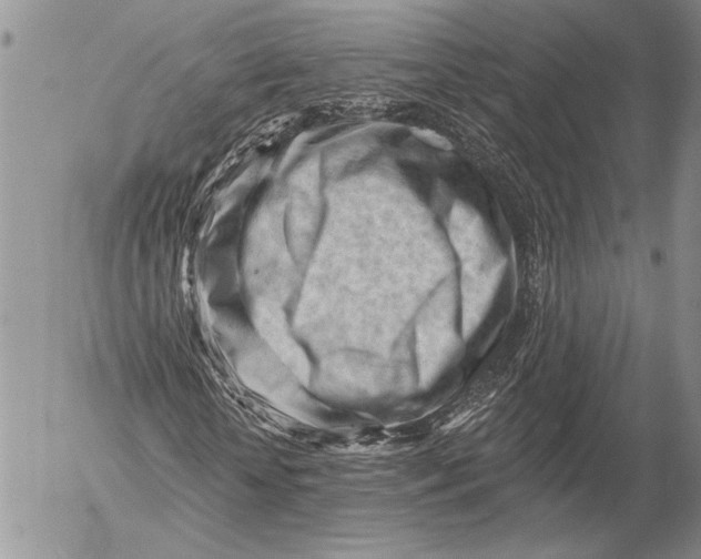 X0000053020818200507291731
