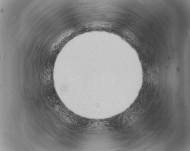 X0000053020824200507291731