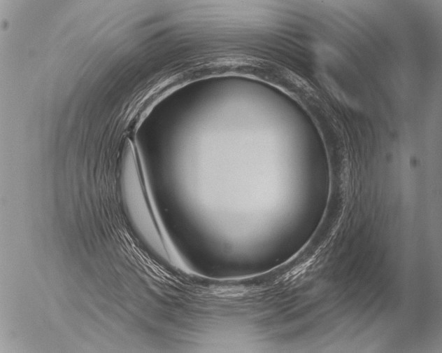 X0000053020825200507291731