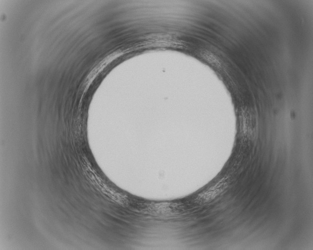 X0000053020828200507291731
