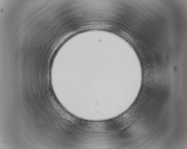 X0000053020836200507291731