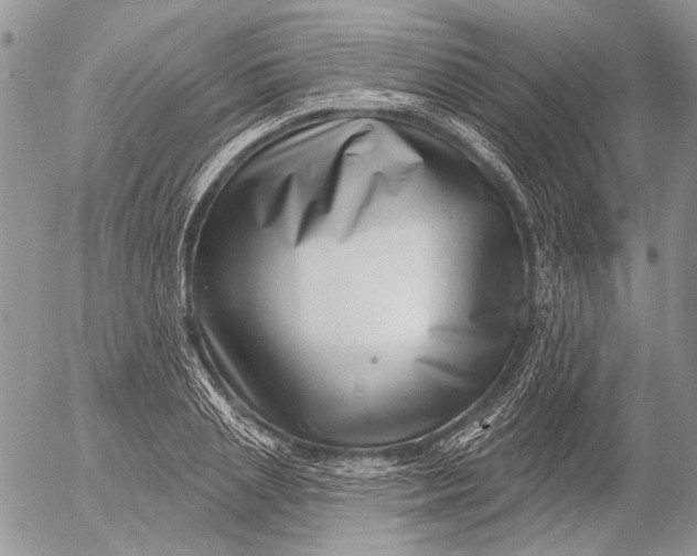 X0000053020837200507291731
