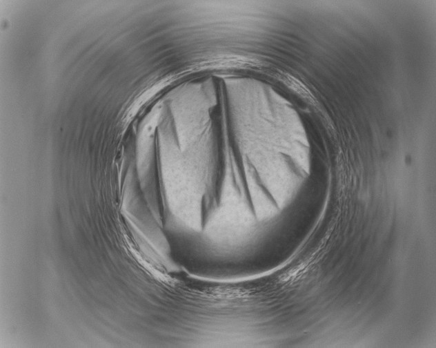 X0000053020842200507291731