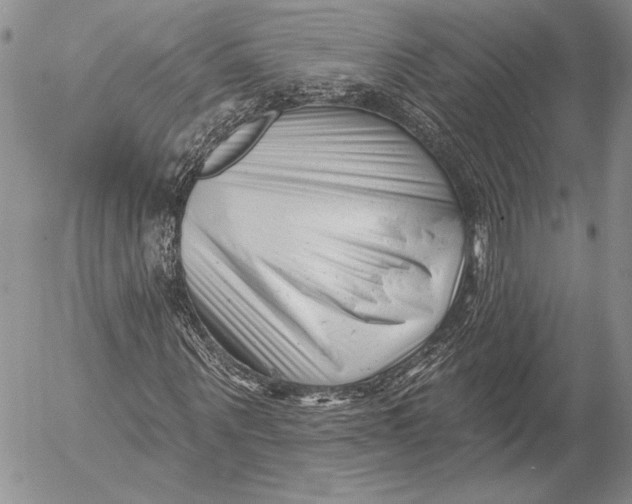 X0000053020867200507291731