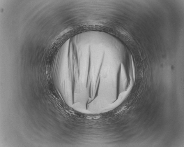 X0000053020870200507291731