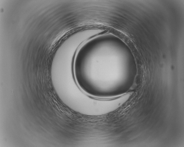 X0000053020871200507291731